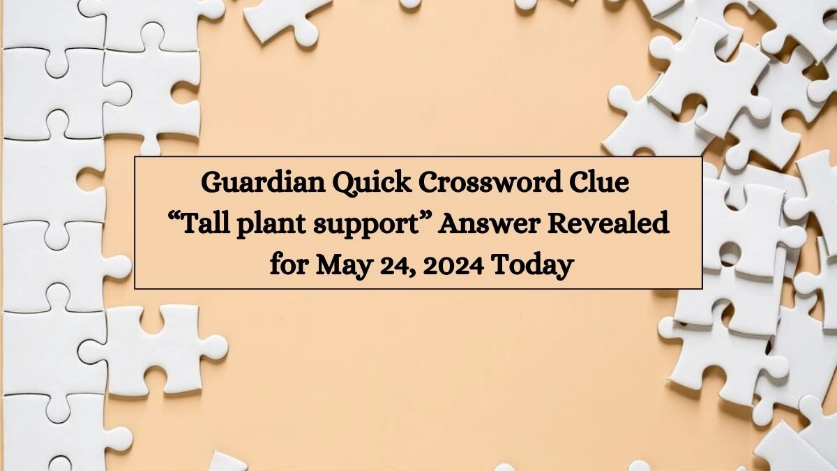 Guardian Quick Crossword Clue “Tall plant support” Answer Revealed for May 24, 2024 Today