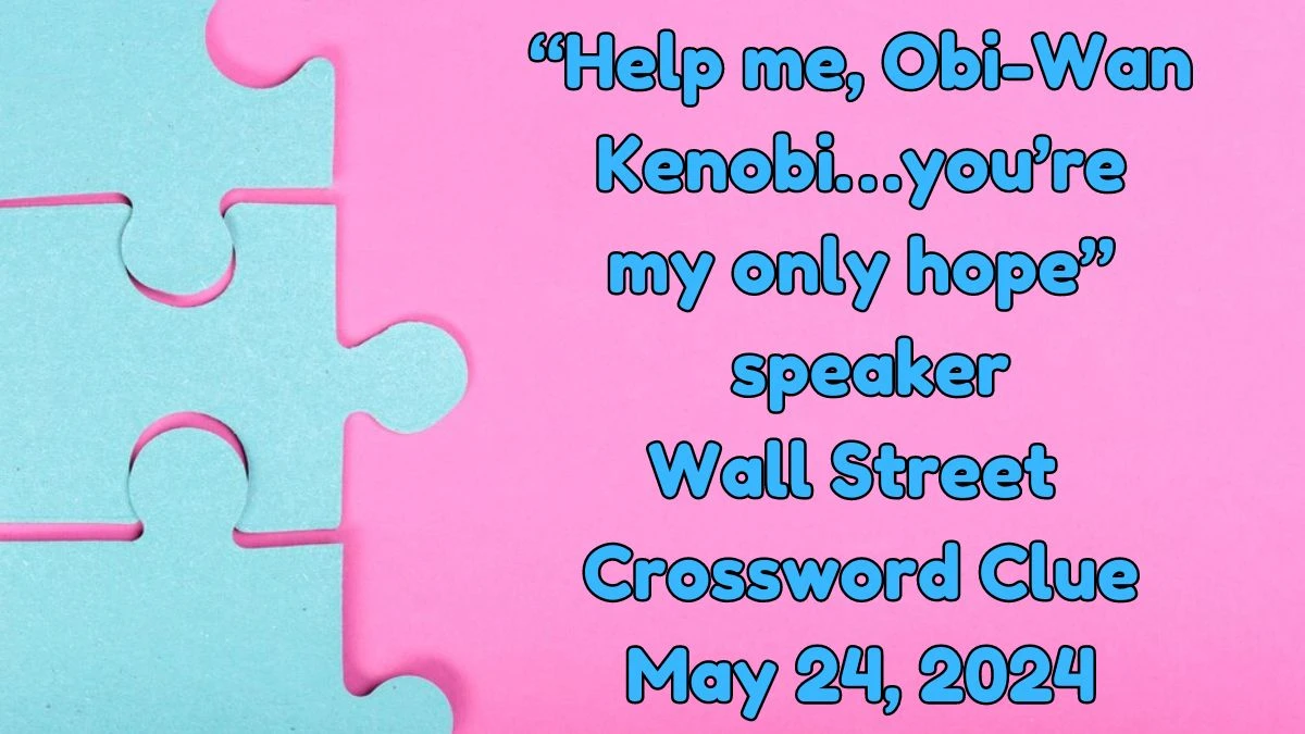 Help me Obi Wan Kenobi you re my only hope speaker Wall Street