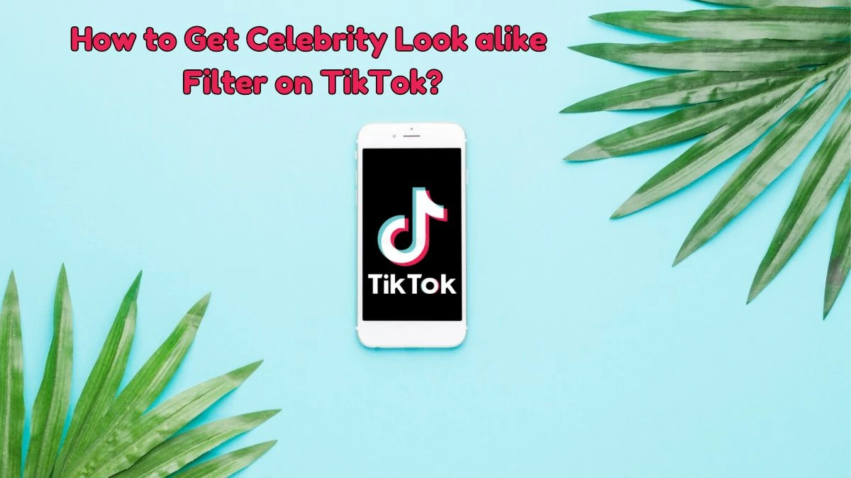 How to Get Celebrity Look alike Filter on TikTok? - Everything about TikTok