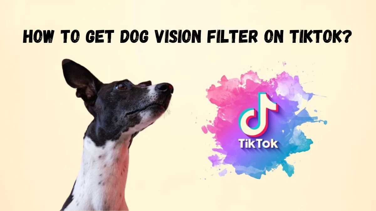 How to Get Dog Vision Filter on TikTok?