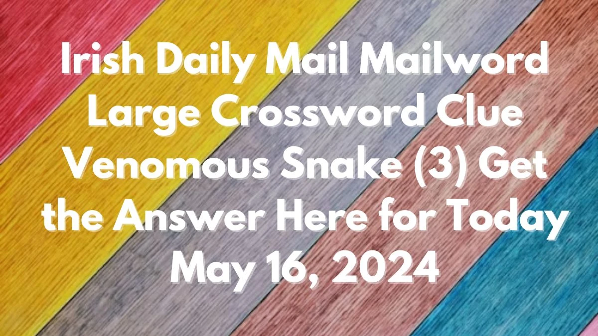 Irish Daily Mail Mailword Large Crossword Clue Venomous Snake (3) Get the Answer Here for Today May 16, 2024