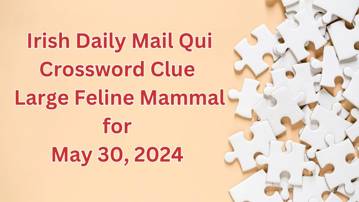 Irish Daily Mail Qui Crossword Clue Large Feline Mammal for May 30, 2024