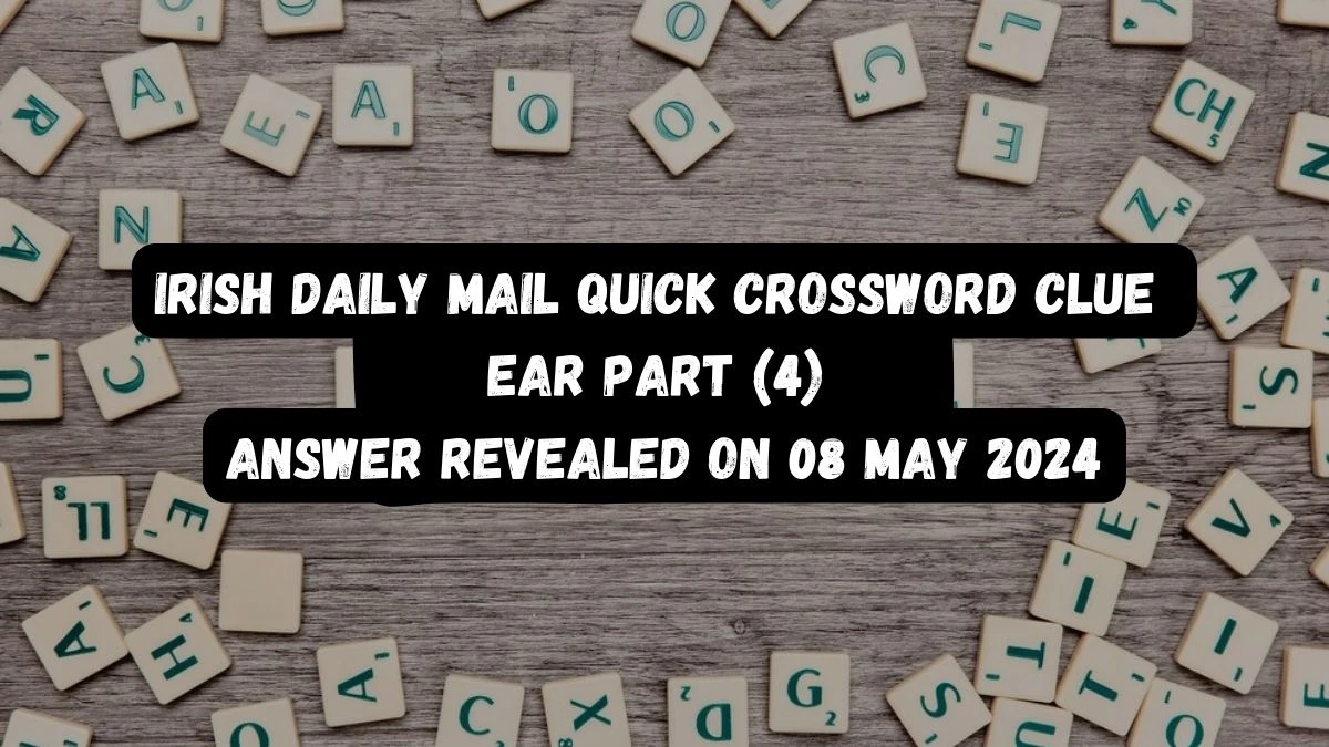 Irish Daily Mail Quick Crossword Clue Ear part (4) Answer Revealed on 08 May 2024