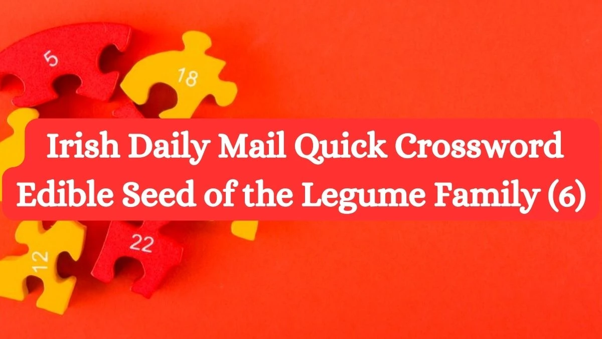 Irish Daily Mail Quick Crossword Clue Edible Seed of the Legume Family (6) Get Answer for May 30, 2024