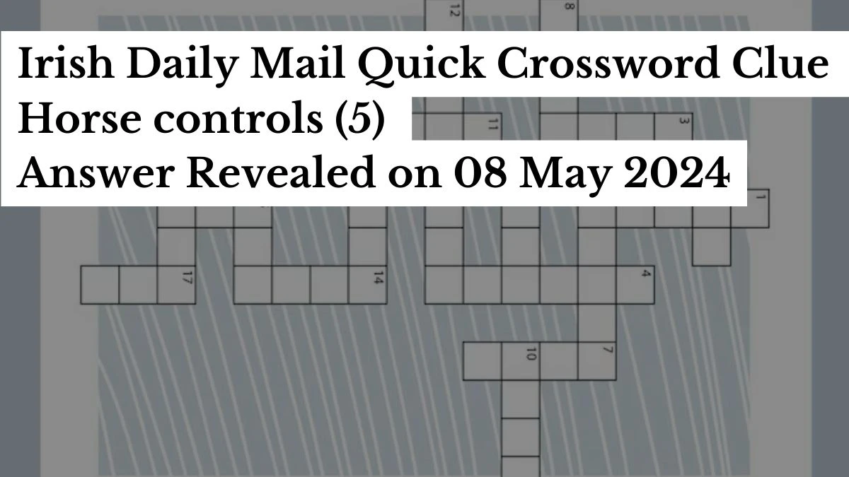 Irish Daily Mail Quick Crossword Clue Horse controls (5) Answer Revealed on 08 May 2024