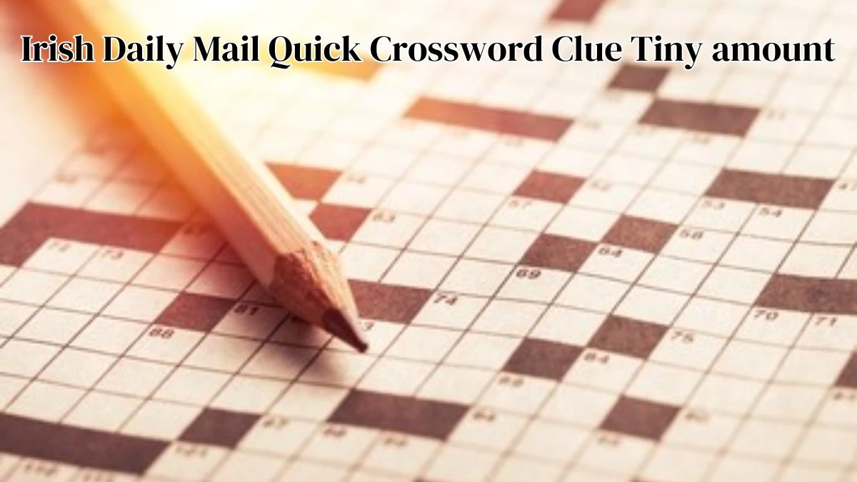Irish Daily Mail Quick Crossword Clue Tiny Amount Answer for the May 3rd 2024  