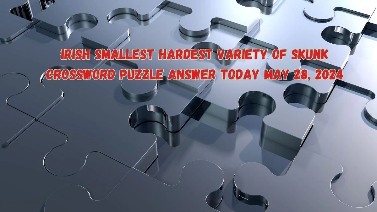 Irish Smallest Hardest Variety of Skunk Crossword Puzzle Answer Today May 28, 2024