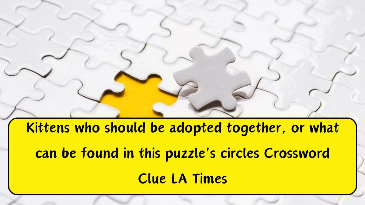 Kittens who should be adopted together, or what can be found in this puzzle's circles Crossword Clue LA Times