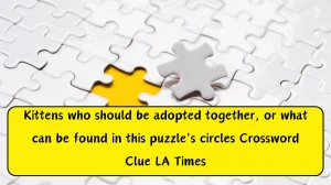 Kittens who should be adopted together, or what can be found in this puzzle's circles Crossword Clue LA Times