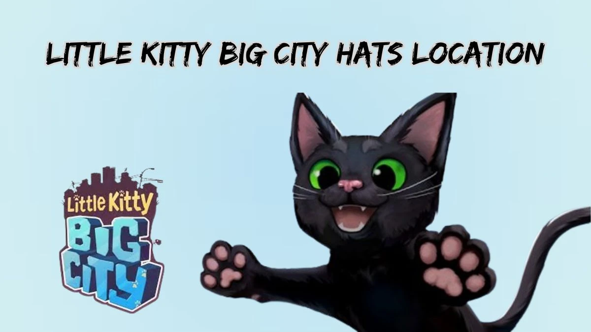 Little Kitty Big City Hats Location, Where to Find Hats in Little Kitty Big City?