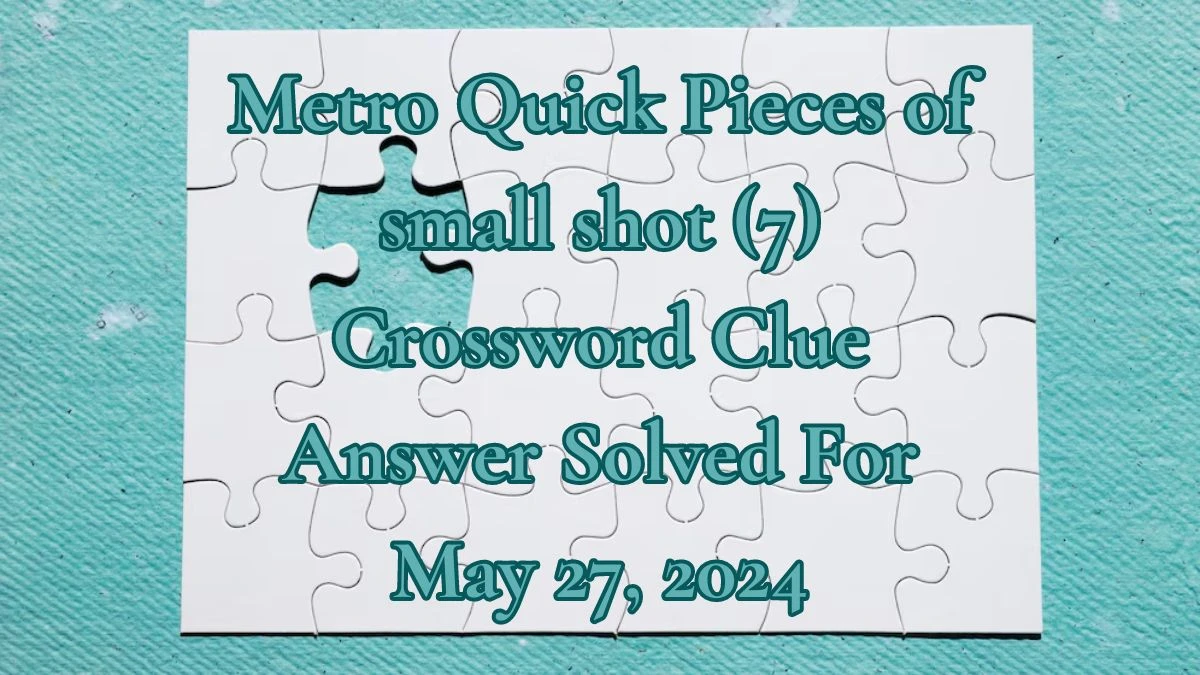 Metro Quick Pieces of small shot (7) Crossword Clue Answer Solved For May 27, 2024