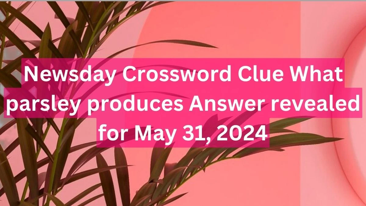 Newsday Crossword Clue What parsley produces Answer revealed for May 31, 2024