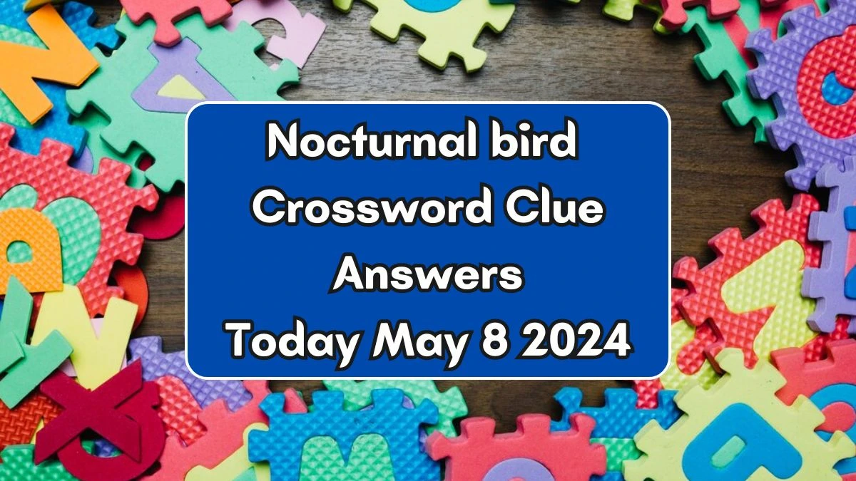 Nocturnal bird Crossword Clue Answers Today May 8 2024