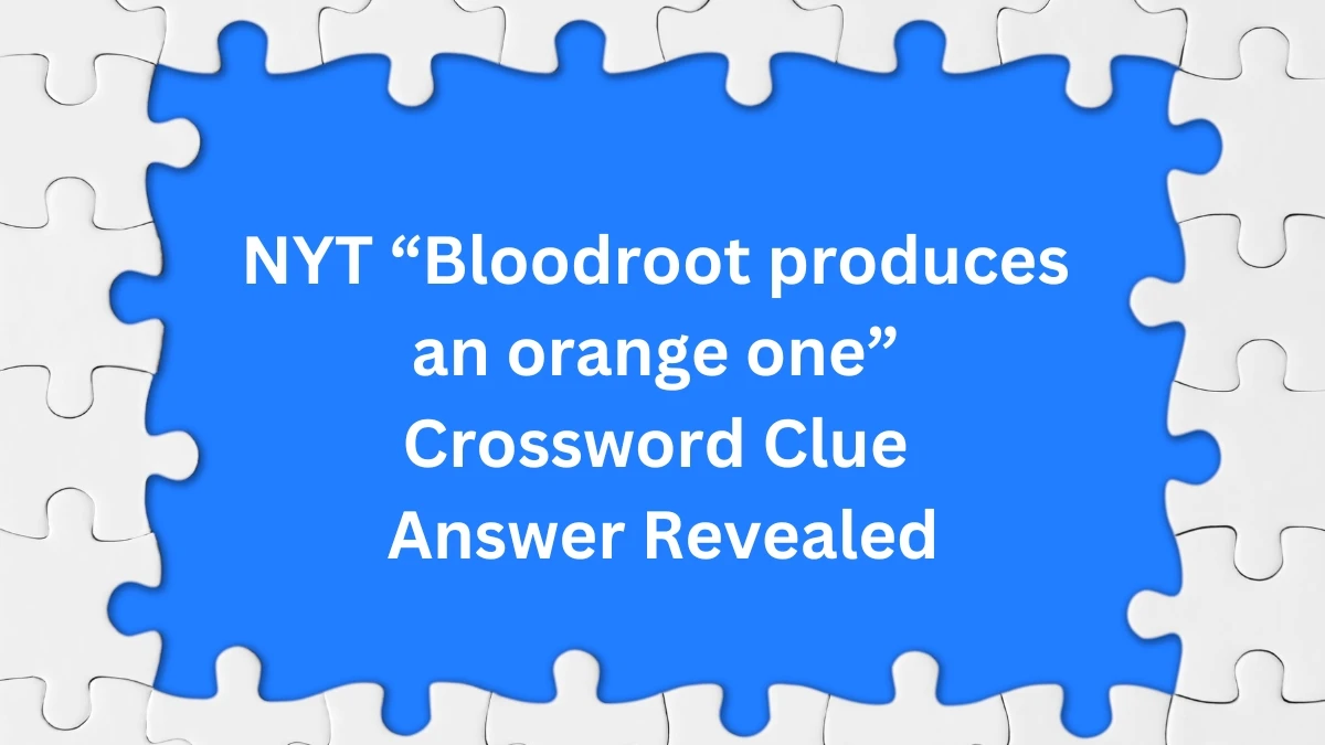 NYT “Bloodroot produces an orange one” Crossword Clue Answer Revealed