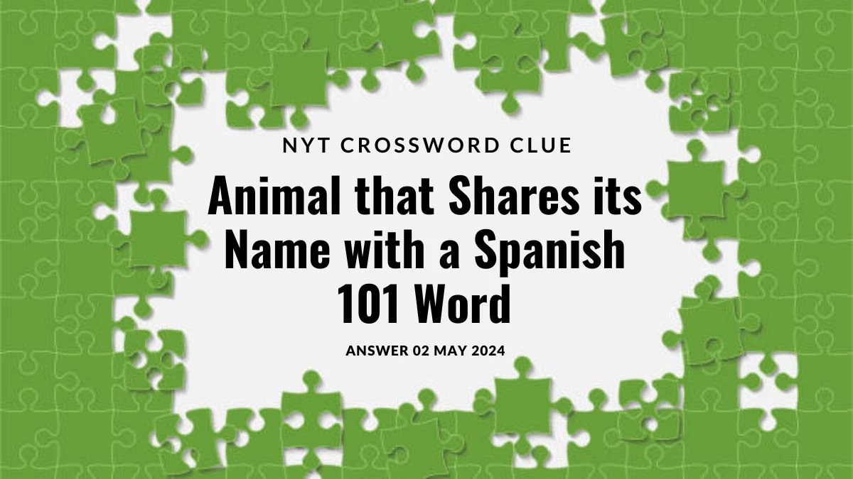 NYT Crossword Clue Animal that Shares its Name with a Spanish 101 Word on 02 May 2024