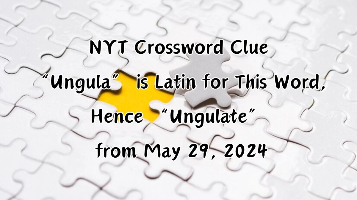 NYT Crossword Clue “Ungula” is Latin for This Word, Hence “Ungulate” from May 29, 2024