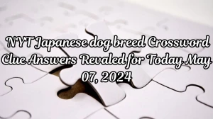 NYT Japanese dog breed Crossword Clue Answers Revaled for Today May 07, 2024