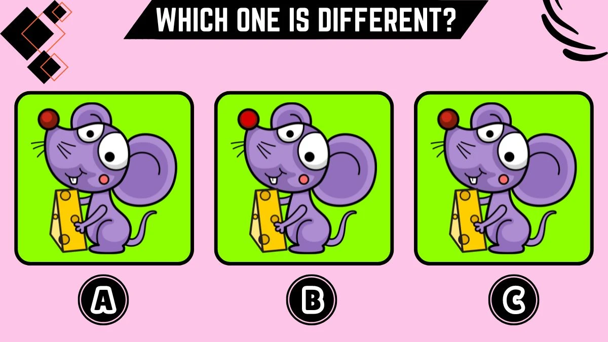 Observation Brain Challenge: Only detective minds can spot the different Rat in 10 Secs