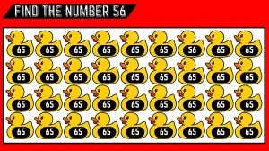 Observation Brain Challenge: Only Keen Observers Can Spot the Number 56 among 65 in 6 Secs