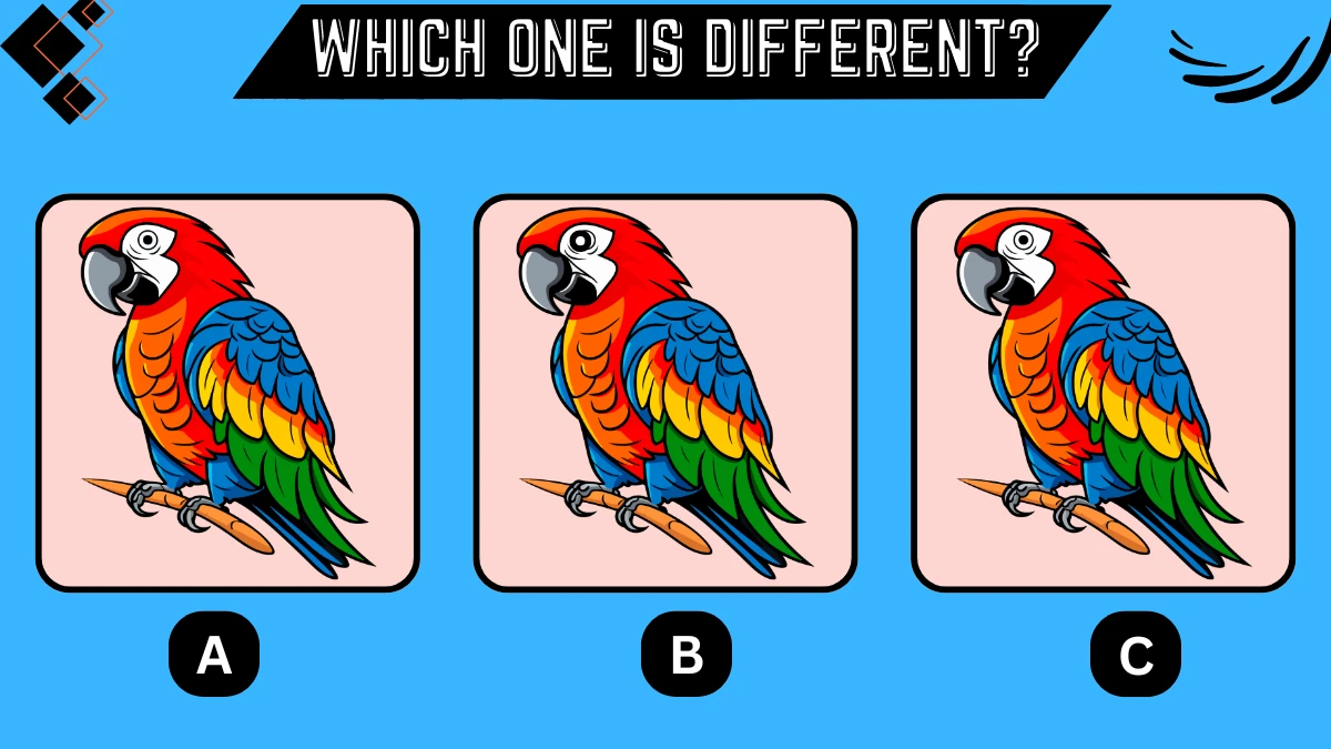 Observation Brain Challenge: Only razor-sharp eyes can Spot the Different Parrot in 7 Secs