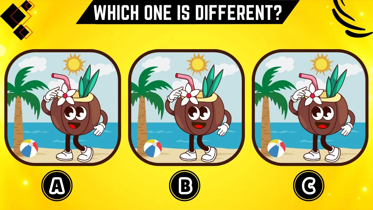 Observation Brain Challenge: Only top-notch observation skills People Can Spot the Different One in 10 Secs