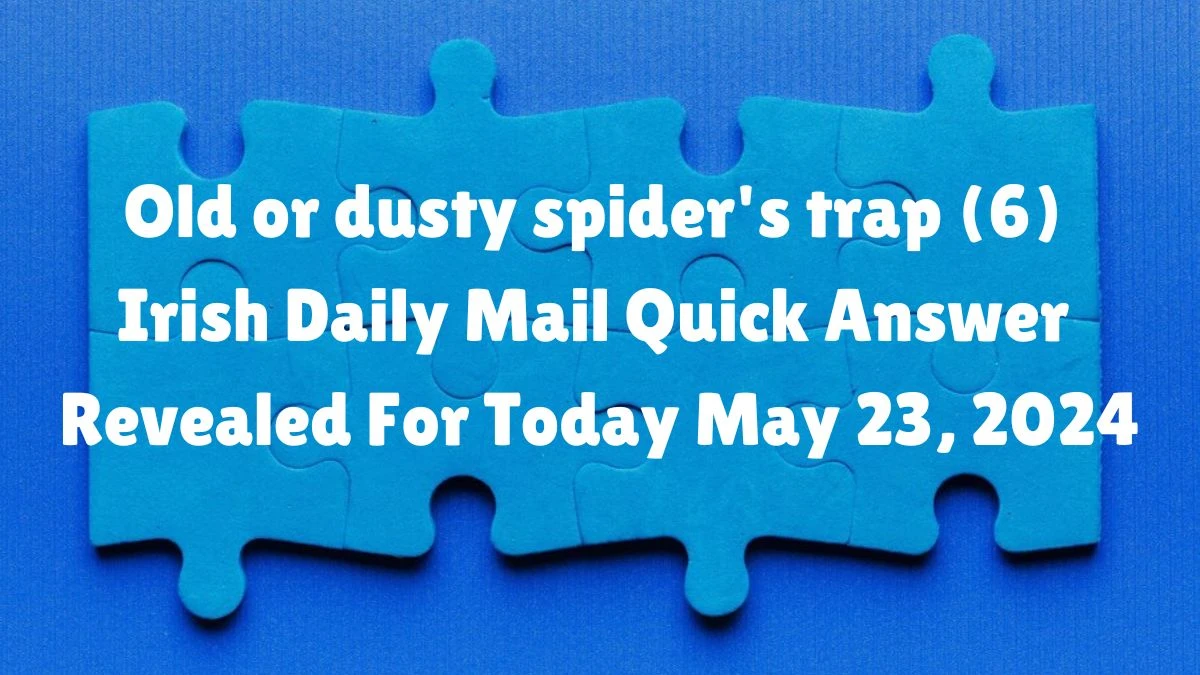 Old or dusty spider's trap (6) Irish Daily Mail Quick Answer Revealed For Today May 23, 2024.