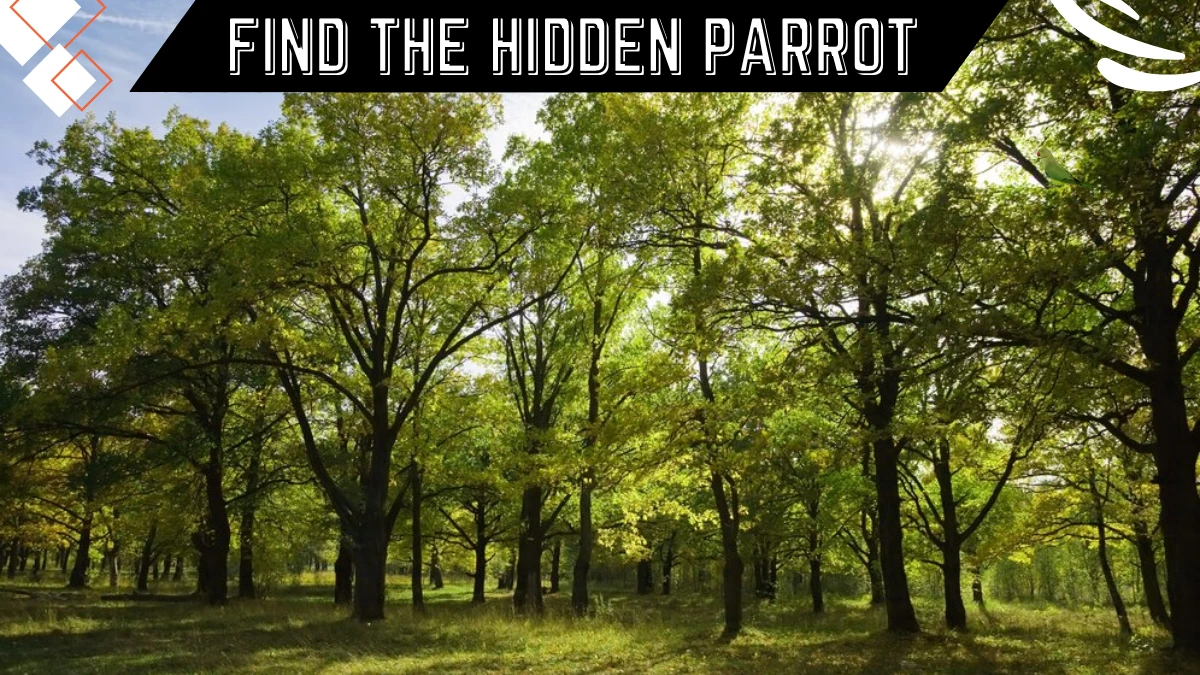Optical Illusion Eye Test: Only eagle eyes can find the hidden Parrot in 6 seconds!