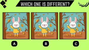 Optical Illusion Eye Test: Only Puzzle Champions Can Spot the Different One in this Rabbit Image in 8 Secs