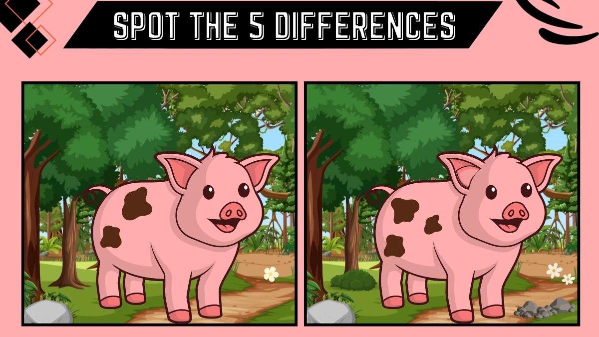 Optical Illusion Spot the 5 Differences Picture Puzzle Game: Only 50/50 Vision Can Spot the 5 Differences in this Pig Image in 12 Secs