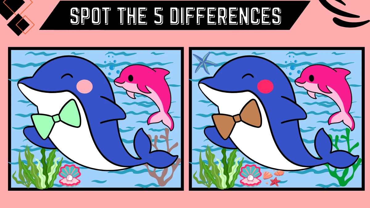Optical Illusion Spot the 5 Differences Picture Puzzle Game: Only highly intelligent people can spot the 5 Differences in this Dolphin Image in 15 Secs