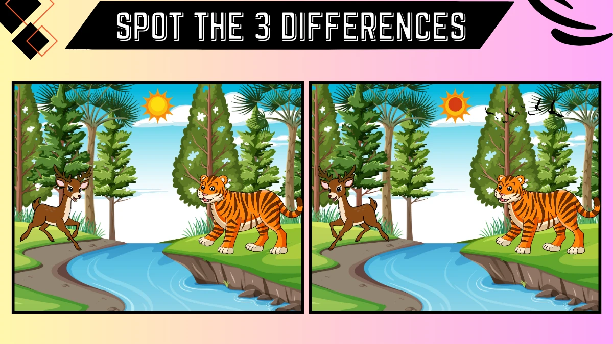 Optical Illusion Spot the Difference Picture Puzzle Game: Only 20/20 Vision Can Spot the 3 Differences in this Forest Image in 10 Secs