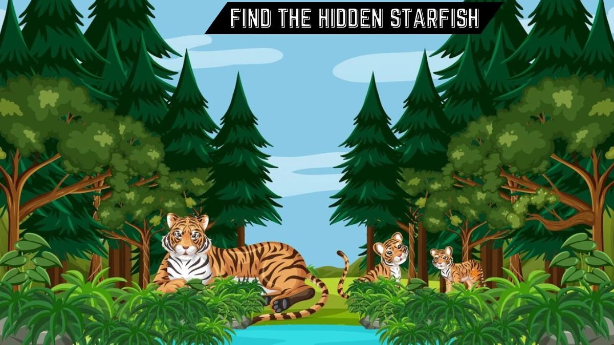 Optical Illusion Vision Test:  Use Your Eagle Eye Vision To Spot The Hidden Starfish in 7 Secs