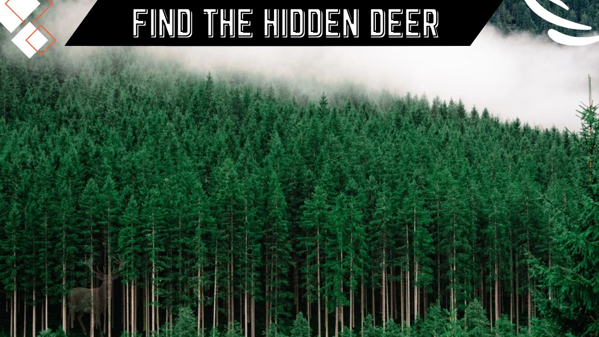 Optical Illusion Visual Test: Only the sharpest eyes can find the hidden Deer in this Image in 5 Secs