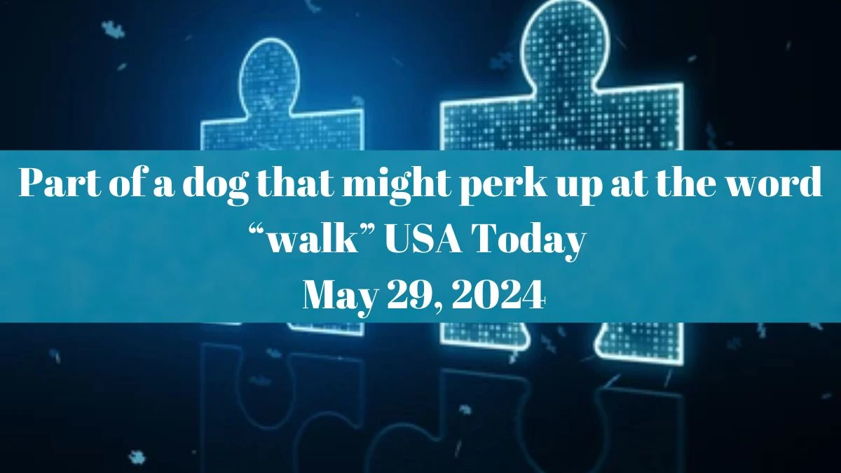 Part of a dog that might perk up at the word “walk” USA Today as of May 29, 2024