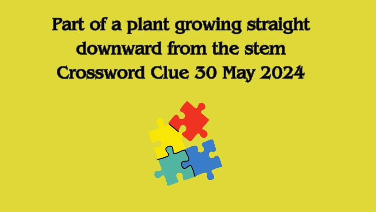 Part of a plant growing straight downward from the stem Crossword Clue