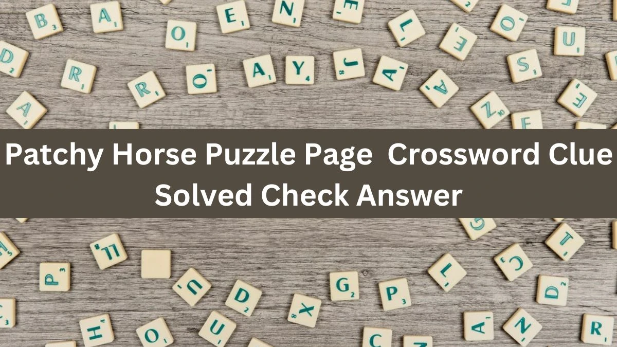 Patchy Horse Puzzle Page  Crossword Clue Solved Check Answer