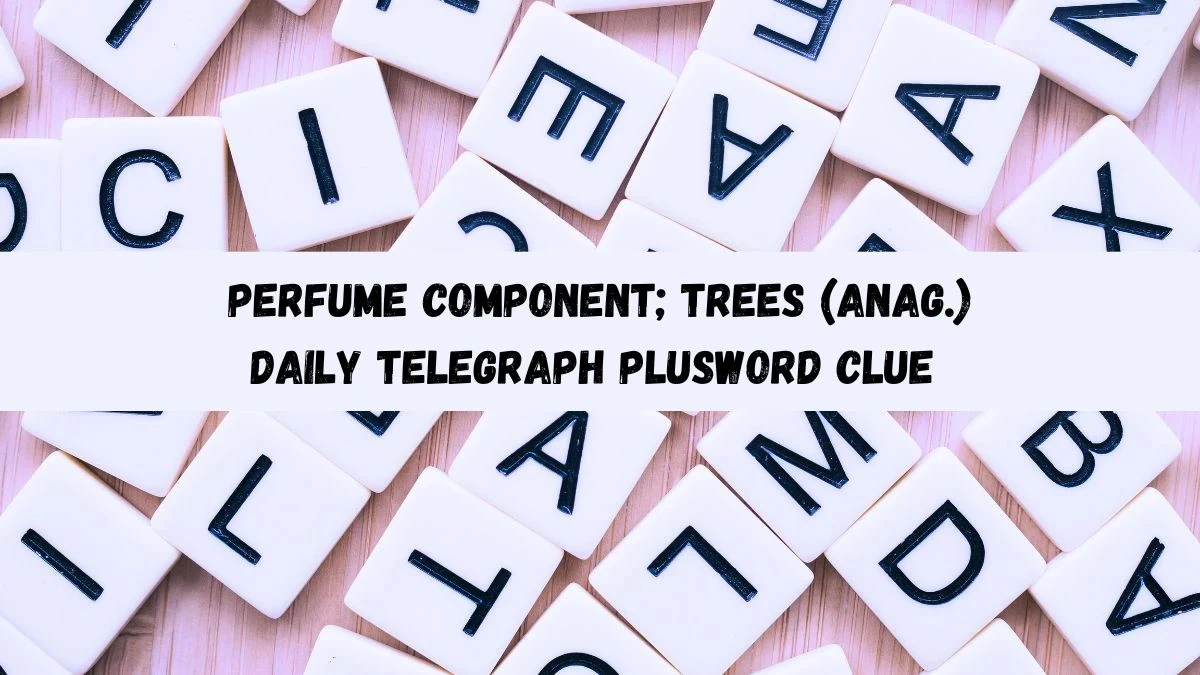 Perfume component; trees (anag.) Daily Telegraph Plusword Clue Answer May 27, 2024