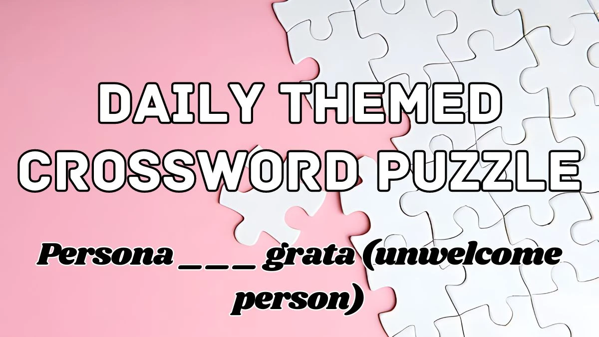 Persona ___ grata (unwelcome person) Daily Themed Crossword Answer for May 09, 2024