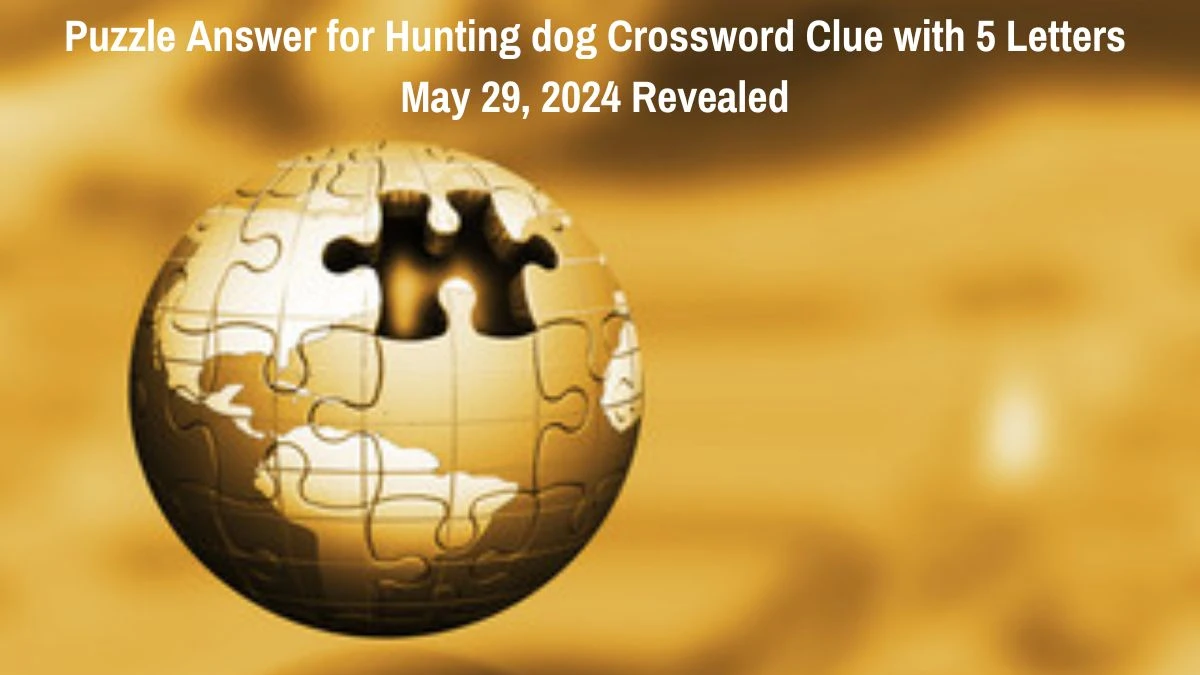 Puzzle Answer for Hunting dog Crossword Clue with 5 Letters May 29, 2024 Revealed