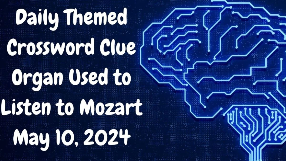 Question Daily Themed Crossword Clue Organ Used to Listen to Mozart And Answer Revealed as of May 10, 2024