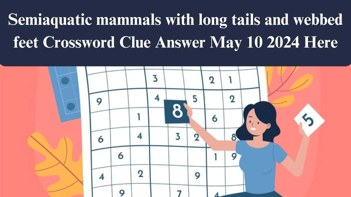 Semiaquatic mammals with long tails and webbed feet Crossword Clue Answer May 10 2024 Here