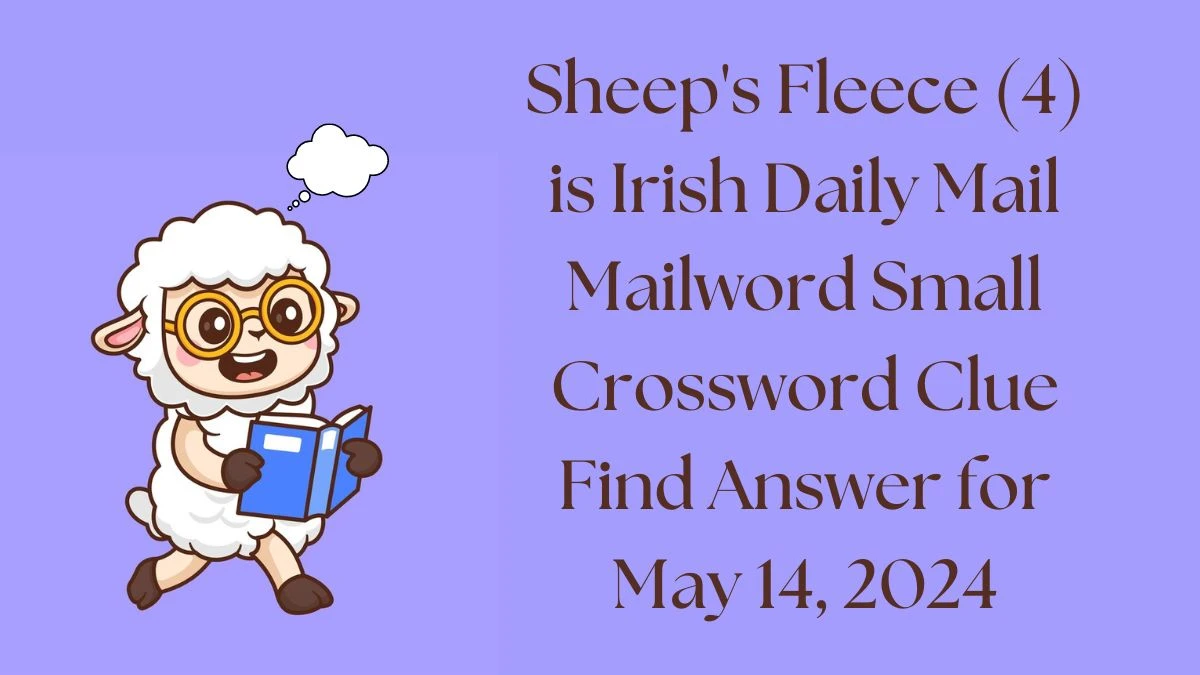 Sheep's Fleece (4) is Irish Daily Mail Mailword Small Crossword Clue Find Answer for May 14, 2024