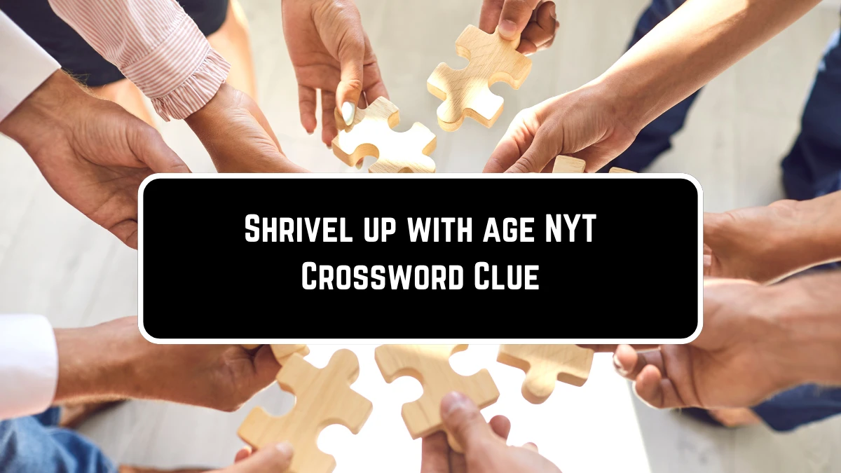 Shrivel up with age NYT Crossword Clue From May 26, 2024