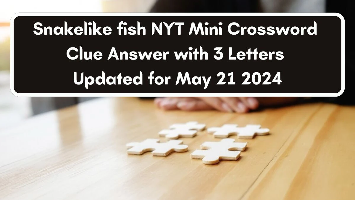 Snakelike fish NYT Mini Crossword Clue Answer with 3 Letters Updated for May 21 2024