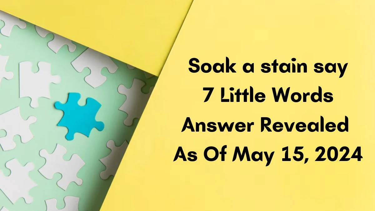 Soak a stain say 7 Little Words Answer Revealed As Of May 15, 2024