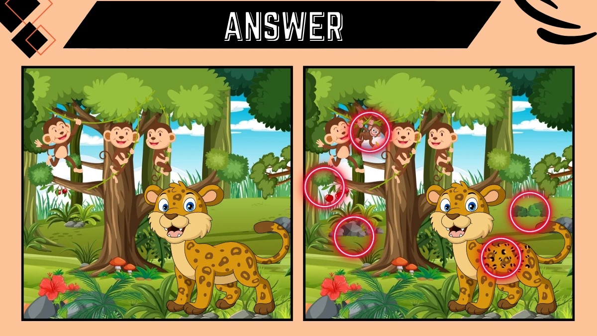 Spot the 5 Difference Picture Puzzle Game: Only 20/20 Vision Can Spot the 5  Differences in this Cheetah and Monkey Image in 12 Secs - News