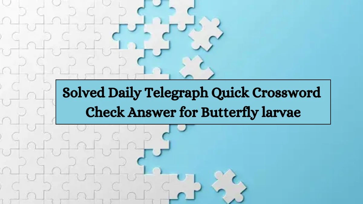 Solved Daily Telegraph Quick Crossword Check Answer for Butterfly larvae