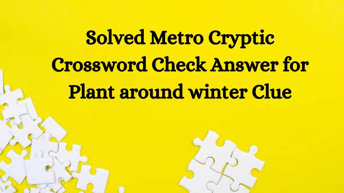 Solved Metro Cryptic Crossword Check Answer for Plant around winter Clue