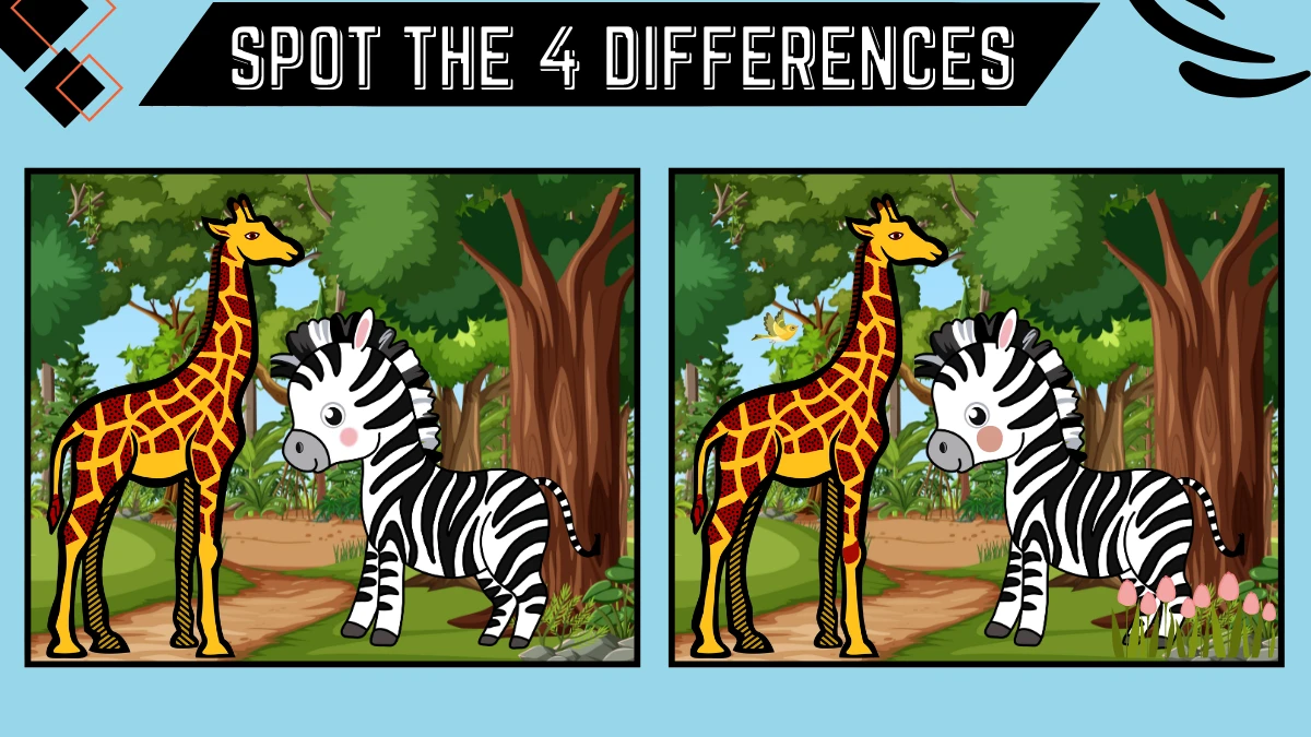 Spot the 4 Difference Picture Puzzle Game: Only People with Extra Sharp Eyes Can Spot the 4 Differences in this Zebra and Giraffe Image in 12 Secs