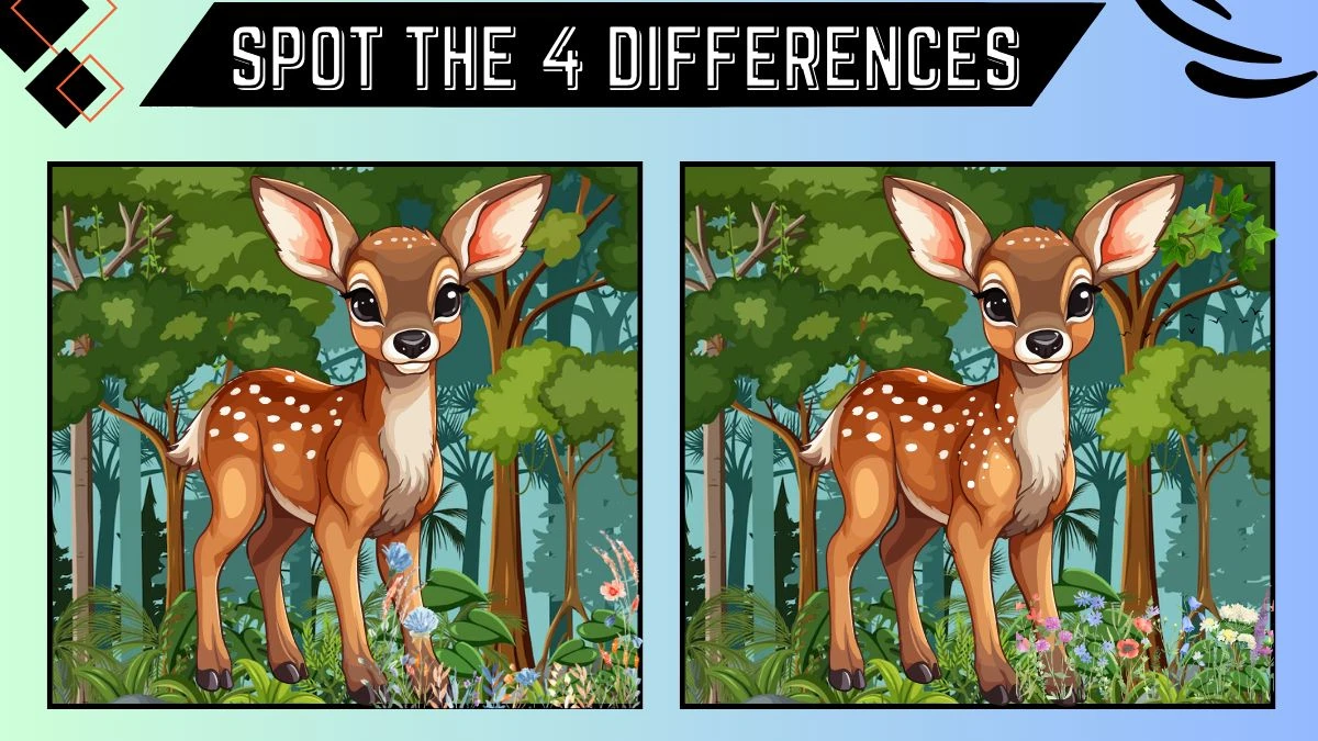 Spot the 4 Differences Picture Puzzle Game: Only People with Hawk Eyes Can Spot the 4 Differences in this Deer Image in 10 Secs